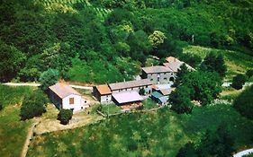 Bottega Di Montegiovi