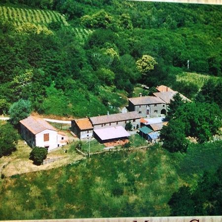 Bottega Di Montegiovi Hotel Scopeti Esterno foto