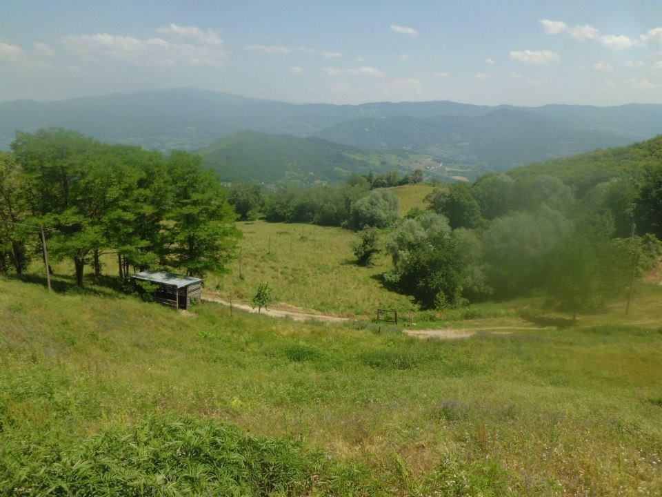 Bottega Di Montegiovi Hotel Scopeti Esterno foto