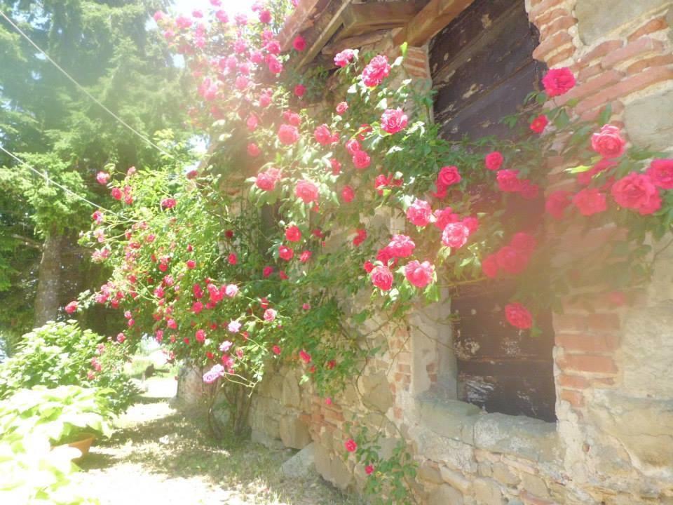 Bottega Di Montegiovi Hotel Scopeti Esterno foto