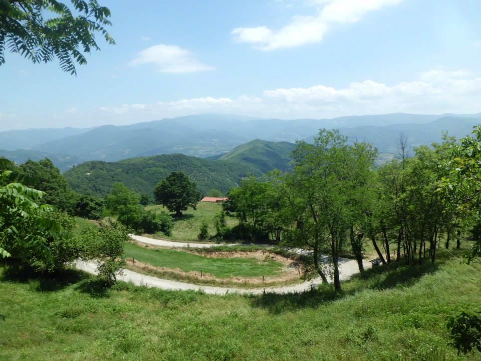 Bottega Di Montegiovi Hotel Scopeti Esterno foto